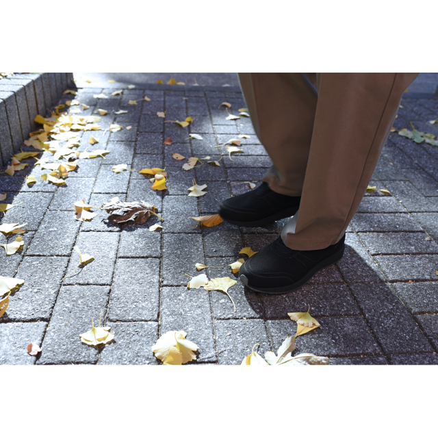 Lunge （ルンゲ） - Classic Walk N - GLN220LLL | 通販 - FENEST